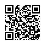 [S1a]C デンヂムシ（VMAXライジング 029/070 雷 ）[S1a029] QRコード