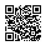 [S1a]U ストリンダー（VMAXライジング 033/070 雷 ）[S1a033] QRコード