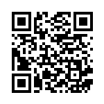 [S1a]R ドラパルト（VMAXライジング 041/070 超 ）[S1a041] QRコード