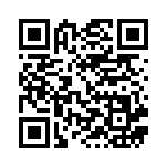 [S1a]U ツインエネルギー（VMAXライジング 070/070 エネルギー 無 ）[S1a070] QRコード