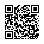 [S1a]SR ヤロー（VMAXライジング 078/070 トレーナーズ サポート ）[S1a078] QRコード