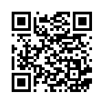 [S1a]HR ゴリランダーVMAX（VMAXライジング 079/070 草 ）[S1a079] QRコード