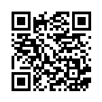 [S1a]HR エースバーンVMAX（VMAXライジング 080/070 炎 ）[S1a080] QRコード