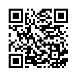 [S1a]HR インテレオンVMAX（VMAXライジング 081/070 水 ）[S1a081] QRコード