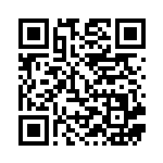 [S1H]RRR モルペコVMAX（シールド 020/060 雷 ）[S1H020] QRコード