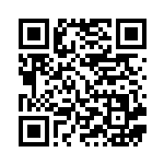 [S1W]C ガラルニャース（ソード 040/060 鋼 ）[S1W040] QRコード