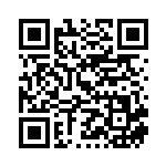 [S2]HR ストリンダーVMAX（反逆クラッシュ 107/096 雷 ）[S2107] QRコード