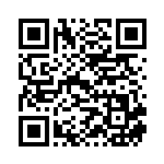 [S2]HR オリーヴ（反逆クラッシュ 111/096 トレーナーズ サポート ）[S2111] QRコード