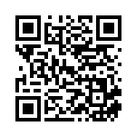 [S2]HR ボスの指令 サカキ（反逆クラッシュ 112/096 トレーナーズ サポート ）[S2112] QRコード