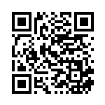 [S2]UR ツールスクラッパー（反逆クラッシュ 115/096 トレーナーズ グッズ ）[S2115] QRコード