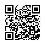 [S2a]HR バタフリーVMAX（爆炎ウォーカー 079/070 草 ）[S2a079] QRコード