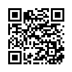 [S3]RRR ハッサムVMAX（ムゲンゾーン 067/100 鋼 ）[S3067] QRコード