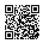 [S3]U ネズ（ムゲンゾーン 095/100 トレーナーズ サポート ）[S3095] QRコード