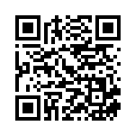 [S3]SR ボーマンダV（ムゲンゾーン 108/100 無 ）[S3108] QRコード