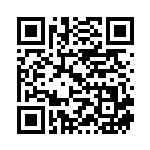 [S3]SR ネズ（ムゲンゾーン 109/100 トレーナーズ サポート ）[S3109] QRコード