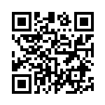 [S3a]HR ポプラ（伝説の鼓動 091/076 トレーナーズ サポート ）[S3a091] QRコード