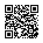 [S4]RR ガラルネギガナイトV（仰天のボルテッカー 065/100 闘 ）[S4065] QRコード