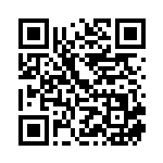 [S4]RR ギルガルドV（仰天のボルテッカー 080/100 鋼 ）[S4080] QRコード