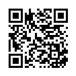 [S4]SR ギルガルドV（仰天のボルテッカー 108/100 鋼 ）[S4108] QRコード