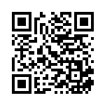 [S4]HR ピカチュウVMAX（仰天のボルテッカー 114/100 雷 ）[S4114] QRコード