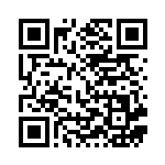 [S4a]RRR ゴリランダーVMAX（シャイニースターV 010/190  ）[S4a010] QRコード