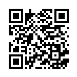 [S4a]R エースバーン（シャイニースターV 024/190  ）[S4a024] QRコード