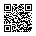 [S4a]ヤクデ（シャイニースターV 025/190  ）[S4a025] QRコード