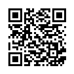 [S4a]マルヤクデ（シャイニースターV 026/190  ）[S4a026] QRコード