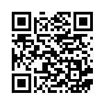 [S4a]RR マルヤクデV（シャイニースターV 027/190  ）[S4a027] QRコード