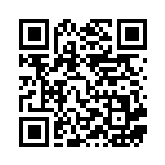 [S4a]RRR マルヤクデVMAX（シャイニースターV 028/190  ）[S4a028] QRコード