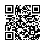 [S4a]ガラルバリヤード（シャイニースターV 029/190  ）[S4a029] QRコード