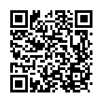 [S4a]ガラルバリヤード（シャイニースターV 029/190  ）[S4a029] QRコード