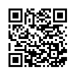 [S4a]ジメレオン（シャイニースターV 040/190  ）[S4a040] QRコード