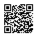 [S4a]R インテレオン（シャイニースターV 041/190  ）[S4a041] QRコード