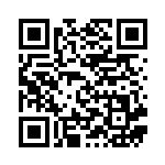 [S4a]R コオリッポ（シャイニースターV 049/190  ）[S4a049] QRコード