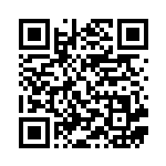 [S4a]R ストリンダー（シャイニースターV 058/190  ）[S4a058] QRコード