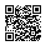 [S4a]パッチラゴン（シャイニースターV 063/190  ）[S4a063] QRコード