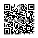 [S4a]ガラルポニータ（シャイニースターV 067/190  ）[S4a067] QRコード