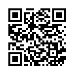 [S4a]RR イエッサンV（シャイニースターV 084/190  ）[S4a084] QRコード