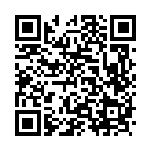 [S4a]オトスパス（シャイニースターV 100/190  ）[S4a100] QRコード