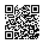 [S4a]RR タイレーツV（シャイニースターV 102/190  ）[S4a102] QRコード