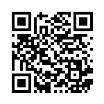 [S4a]ガラルジグザグマ（シャイニースターV 110/190  ）[S4a110] QRコード