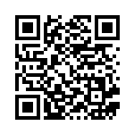 [S4a]ニダンギル（シャイニースターV 130/190  ）[S4a130] QRコード