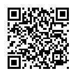 [S4a]ゾウドウ（シャイニースターV 133/190  ）[S4a133] QRコード