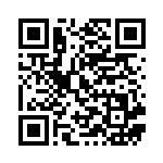 [S4a]RR ウッウV（シャイニースターV 155/190  ）[S4a155] QRコード