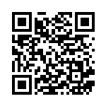 [S4a]たっぷりバケツ（シャイニースターV 162/190  ）[S4a162] QRコード