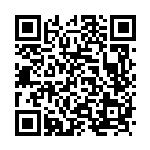 [S4a]たっぷりバケツ（シャイニースターV 162/190  ）[S4a162] QRコード