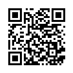 [S4a]メタルソーサー（シャイニースターV 166/190  ）[S4a166] QRコード