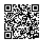 [S4a]とりつかい（シャイニースターV 172/190  ）[S4a172] QRコード