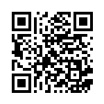 [S4a]R マリィ（シャイニースターV 177/190  ）[S4a177] QRコード